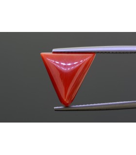 .78 ct Natural Pearl - Moti (SKU:90140655)