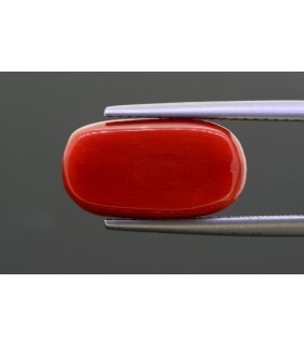 1.46 cts Natural Pearl - Moti (SKU:90140693)