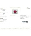 6.43 cts Natural Coral (Moonga)