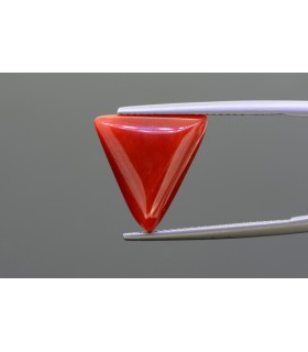 .83 ct Natural Pearl - Moti (SKU:90140808)