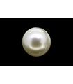 3.49 cts Cultured Pearl (Moti)