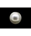 3.41 cts Cultured Pearl (Moti)