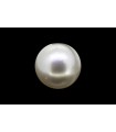 3.52 cts Cultured Pearl (Moti)