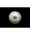 3.54 cts Cultured Pearl (Moti)