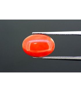 3.96 cts Natural Coral (Moonga)