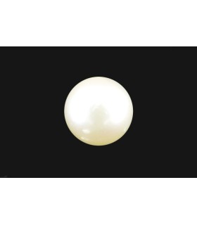26.83 cts Natural Coral (Moonga)