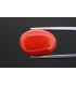 13.45 cts Natural Coral - Moonga (SKU:90143311)
