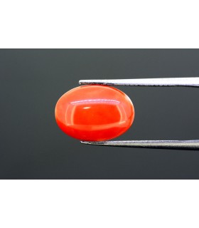 3.96 cts Natural Coral (Moonga)