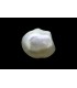 4.13 cts Natural Pearl (Moti)