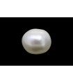 1.81 cts Natural Pearl (Moti)