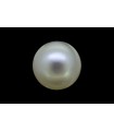 1.49 cts Natural Pearl (Moti)