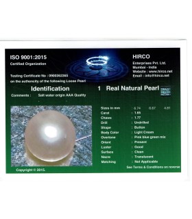 1.65 cts Natural Pearl - Moti (SKU:90140334)