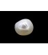 1.98 cts Natural Pearl (Moti)