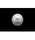 1.35 cts Natural Pearl - Moti (SKU:90140457)