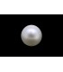 .79 ct Natural Pearl (Moti)