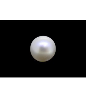 .79 ct Natural Pearl - Moti (SKU:90140556)