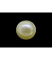 .93 ct Natural Pearl (Moti)