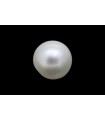 .78 ct Natural Pearl (Moti)