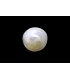 .52 ct Natural Pearl - Moti (SKU:90140662)