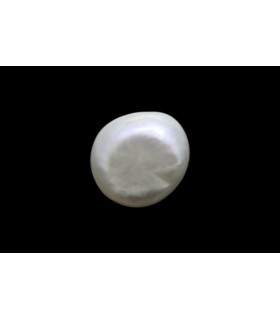 1.2 cts Natural Pearl - Moti (SKU:90140730)