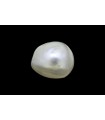 1.68 cts Natural Pearl (Moti)