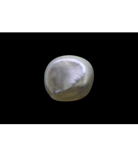 1.63 cts Natural Pearl - Moti (SKU:90140778)