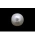 .83 ct Natural Pearl (Moti)