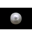 .83 ct Natural Pearl (Moti)