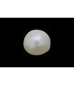 .6 ct Natural Pearl (Moti)