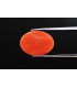 3.46 cts Natural Coral - Moonga (SKU:90141041)