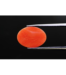 3.46 cts Natural Coral - Moonga (SKU:90141041)