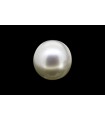 5 cts Cultured Pearl (Moti)