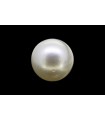 3.24 cts Cultured Pearl (Moti)