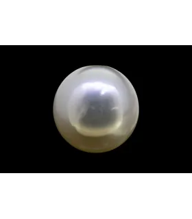 11.8 cts Cultured Pearl (Moti)