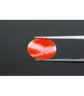 4.77 cts Natural Coral - Moonga (SKU:90007040)