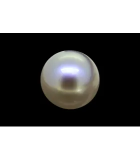3.53 cts Natural Pearl (Moti)