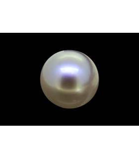 3.53 cts Natural Pearl (Moti)