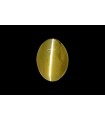 1.91 cts Natural Cats Eye (Lehsunia)