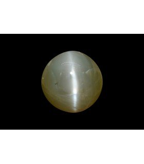 2.92 cts Natural Cats Eye (Lehsunia)