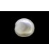 3.05 cts Natural Pearl - Moti (SKU:90140051)
