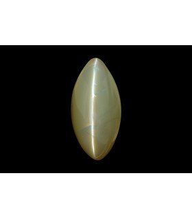 3.61 cts Natural Cats Eye (Lehsunia)