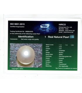 2.32 cts Natural Pearl - Moti (SKU:90140082)