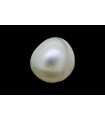 3.39 cts Natural Pearl (Moti)