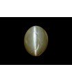 3.06 cts Natural Cats Eye (Lehsunia)