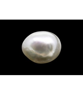 5.91 cts Natural Pearl (Moti)