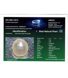 3.05 cts Natural Pearl - Moti (SKU:90140051)