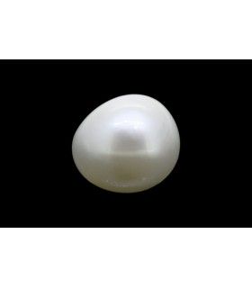 2.39 cts Natural Pearl (Moti)