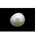 2.39 cts Natural Pearl (Moti)