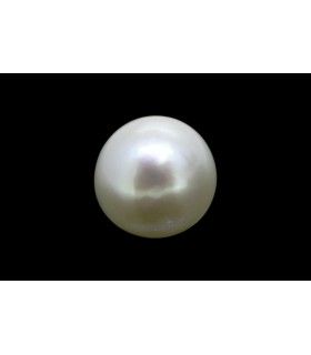 1.75 cts Natural Pearl (Moti)