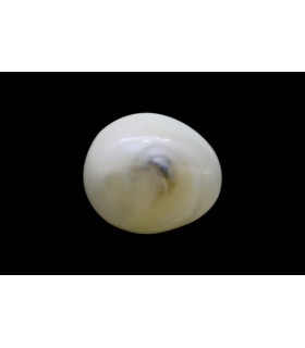 2.39 cts Natural Pearl - Moti (SKU:90140211)